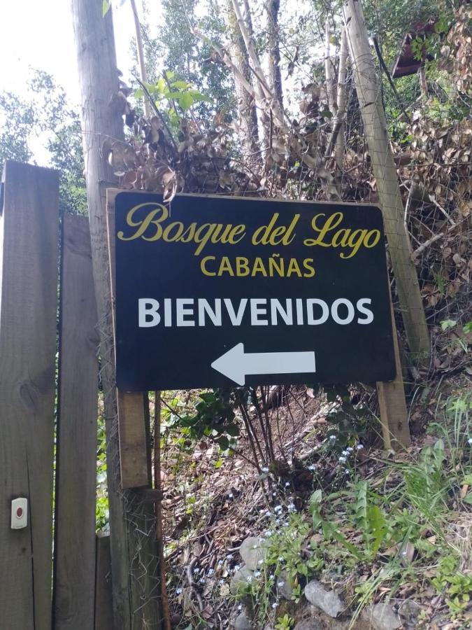Bosque Del Lago Пукон Экстерьер фото